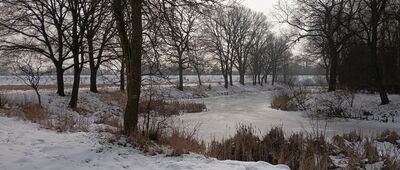 Nowy Bieruń, ul. Wiślana ↔ Babice, most na Wiśle