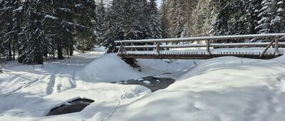 Przełęcz Borek ↔ Skrzyżowanie pod Stawieńcem [Mostek nad Kamienicą]