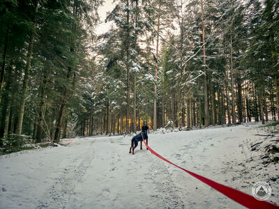 Czarny szlak na Szczebel
