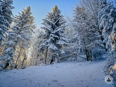 Czarny szlak na Szczebel