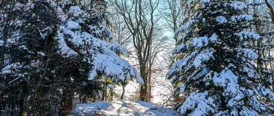 Rozejście szlaków ↔ Szczebel, kaplica polowa [Podejście na Szczebel]