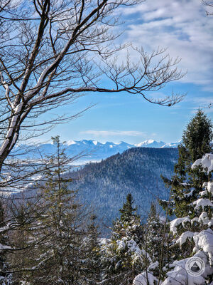 Tatry ze Szczebla