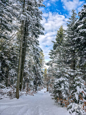Zielony szlak na Szczebel