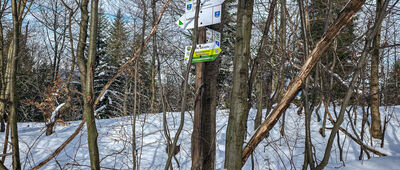 Pod Małym Groniem [Rozejście szlaków pod Małym Groniem]