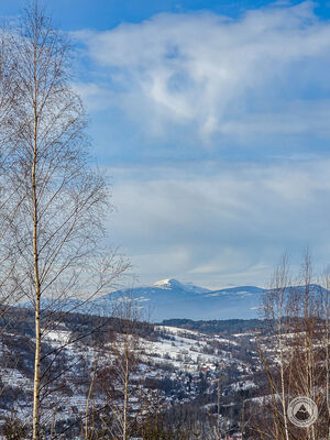 Babia Góra z zielonego szlaku
