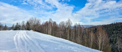 Lubień, cmentarz ↔ Pod Małym Groniem [Zielony szlak spacerowy]