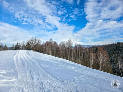 Zielony szlak spacerowy