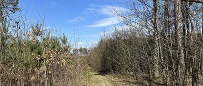 Chałków ↔ Rezerwat Szachownica