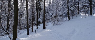 Bystra Krakowska, skrzyżowanie szlaków ↔ Stracona Matka