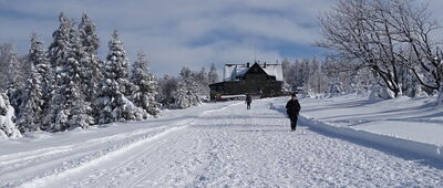 Schronisko PTTK Klimczok ↔ Siodło pod Klimczokiem