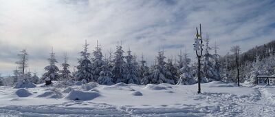 Siodło pod Klimczokiem