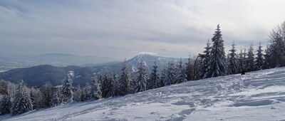 Klimczok ↔ Przełęcz pod Klimczokiem