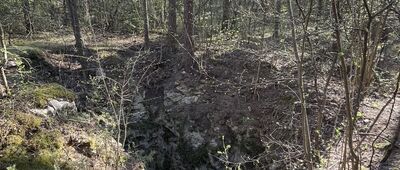 Bugaj ↔ Węże, las