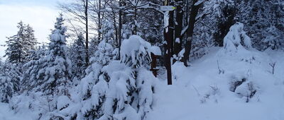 Skrzyżowanie szlaków żółty - czarny