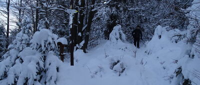 Skrzyżowanie szlaków żółty - czarny