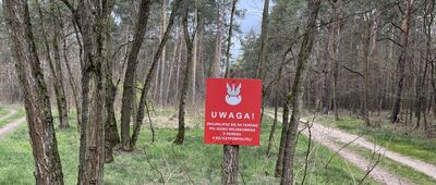 Broników ↔ Rezerwat Dąbrowa