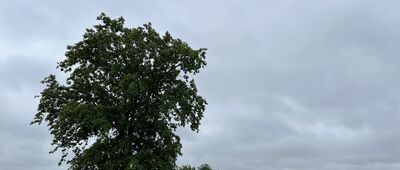 Górzycko Stare ↔ Rozejście szlaków