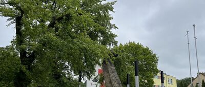 Międzychód ↔ Górzycko Stare