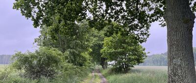 Jezioro Janukowo ↔ Kolno, młyn