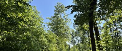 Rozejście szlaków ↔ Rozejście szlaków