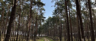 Rozejście szlaków ↔ Rozejście szlaków
