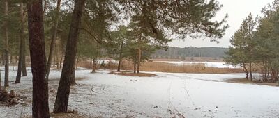 Kostkowice, Zalew Dzibice