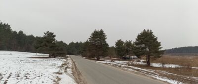 Kostkowice, kąpielisko