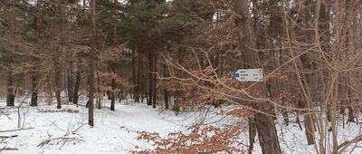 Skały Kroczyckie, skrzyżowanie szlaków