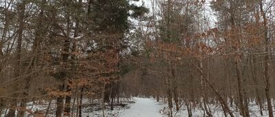 Skały Kroczyckie, skrzyżowanie szlaków