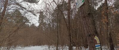 Skały Kroczyckie, skrzyżowanie szlaków