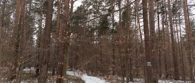 Rezerwat Góra Zborów ↔ Skały Kroczyckie, skrzyżowanie szlaków