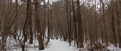 Rezerwat Góra Zborów