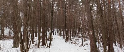 Rezerwat Góra Zborów, początek szlaku czarnego