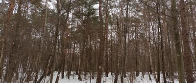 Rezerwat Góra Zborów, początek szlaku czarnego