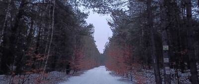 Skały Kroczyckie, odejście szlaku czerwonego ↔ Pod Łysakiem