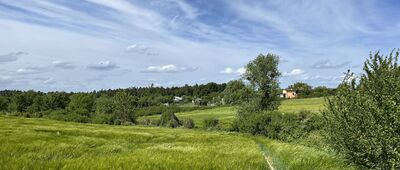 Czarnków, ul. Wroniecka ↔ Dębe
