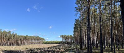 Walkowice, Dębowiec ↔ Rozejście szlaków