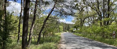 Mirosław ↔ Walkowice, Dębowiec