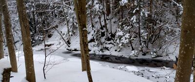 Sopotnia Wielka, Kolonia ↔ Schronisko PTTK Na Rysiance
