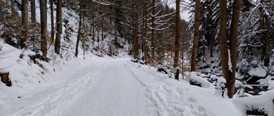 Sopotnia Wielka, Kolonia ↔ Schronisko PTTK Na Rysiance