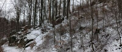 Pod Mrowicą ↔ Rozdroże pod Czernicą [Pod Czernicą]