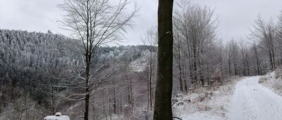 Przy Czereśni ↔ Rozdroże pod Czernicą [Trójgarb]