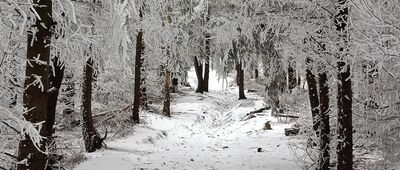 Odejście szlaku czarnego ↔ Przełęcz pod Trójgarbem [Zjawiskowa zima w lutym]