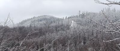 Odejście szlaku czarnego ↔ Odejście szlaku czarnego [Widok (chyba) na Jagodnik]
