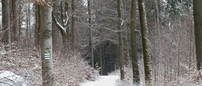 Odejście szlaku czarnego ↔ Odejście szlaku czarnego [Szlak zimą]