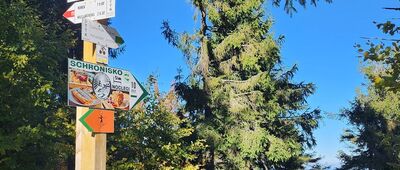 Pod Jaworzyną Krynicką, odejście do schroniska