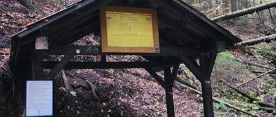 Góra Parkowa ↔ Krynica, Pod kopcem [źródełko miłości]