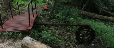 Bieniszew, droga do klasztoru ↔ Konin, Gosławice [dzień 2 - Puszcza Bieniszewska - dzieło zakonnika kameduły]