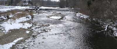 Hala Radziechowska ↔ Węgierska Górka