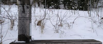 Abrahamów, rozejście szlaków ↔ Stacja Turystyczna Abrahamów